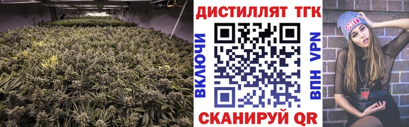 где купить наркотик  блэк спрут tor  ТГК Wax  Западная Двина 